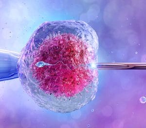IVF and Infertility