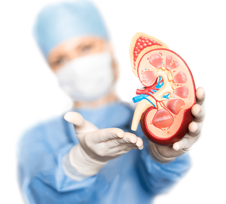 Nephrologist